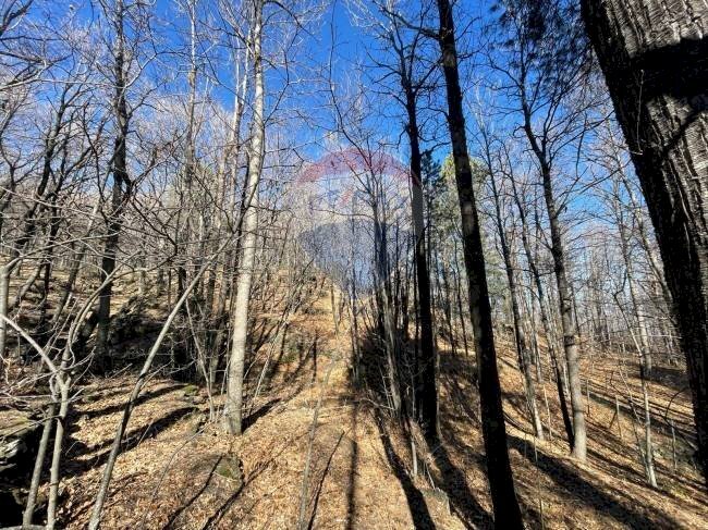 Non correlato - Agricultural land strada mareneve, Linguaglossa - photo 3