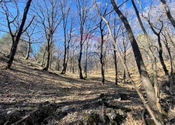 Vista delle montagne - Terreno agricolo strada mareneve, Linguaglossa - foto 1
