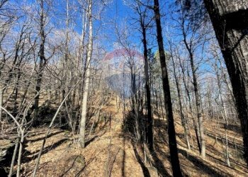 Non correlato - Terreno agricolo strada mareneve, Linguaglossa - foto 3