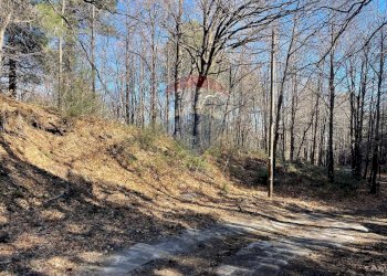 Non correlato - Terreno agricolo strada mareneve, Linguaglossa - foto 4