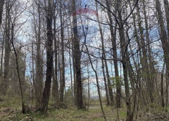 Non correlato - Terreno agricolo strada mareneve, Linguaglossa - foto 6