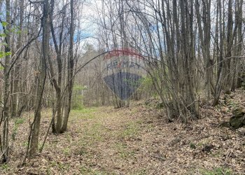 Giardino - Terreno agricolo strada mareneve, Linguaglossa - foto 8