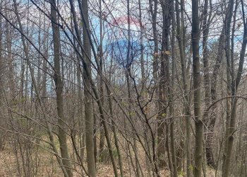 Non correlato - Terreno agricolo strada mareneve, Linguaglossa - foto 9