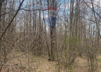 Vista delle montagne - Terreno agricolo strada mareneve, Linguaglossa - foto 10