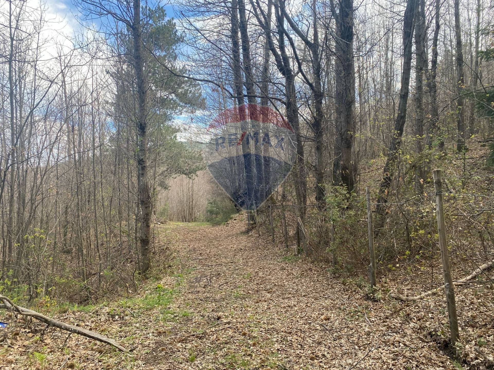 Giardino - Agricultural land strada mareneve, Linguaglossa - photo 1