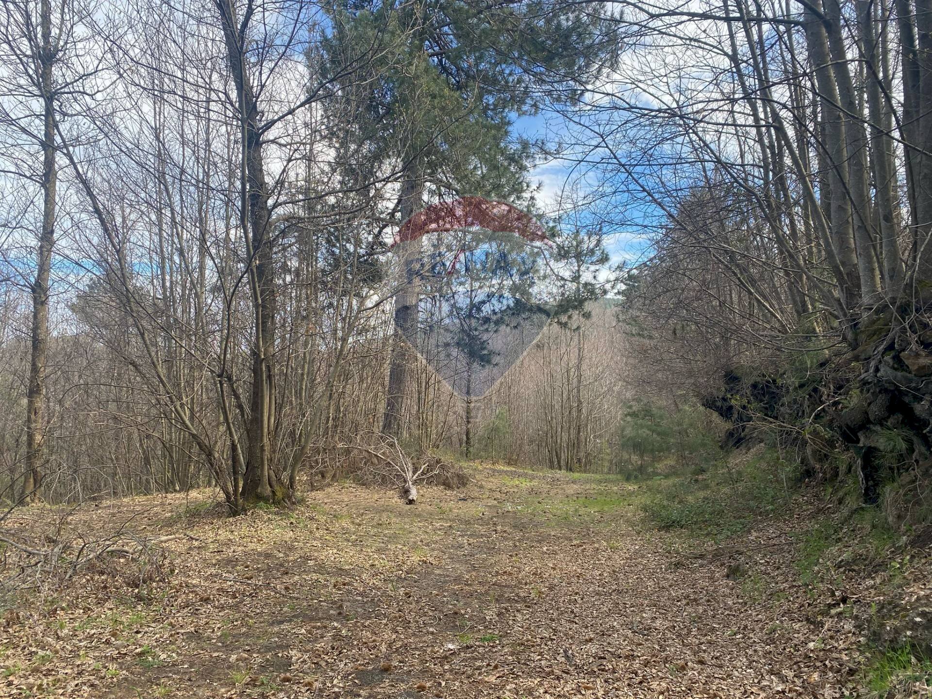 Giardino - Agricultural land strada mareneve, Linguaglossa - photo 2