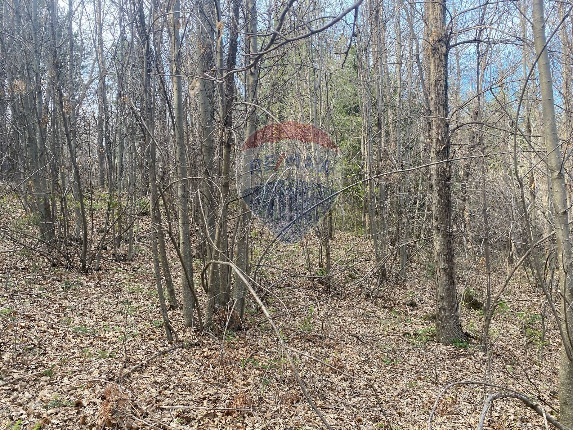 Giardino - Agricultural land strada mareneve, Linguaglossa - photo 3