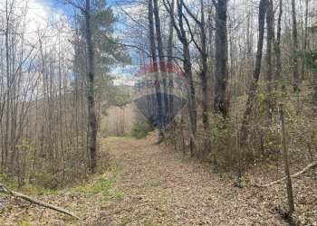 Giardino - Terreno agricolo strada mareneve, Linguaglossa - foto 1