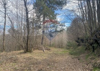 Giardino - Terreno agricolo strada mareneve, Linguaglossa - foto 2