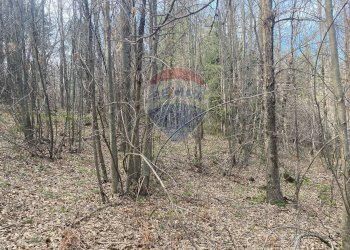 Giardino - Terreno agricolo strada mareneve, Linguaglossa - foto 3