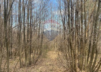 Non correlato - Terreno agricolo strada mareneve, Linguaglossa - foto 4