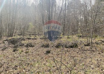 Non correlato - Terreno agricolo strada mareneve, Linguaglossa - foto 5