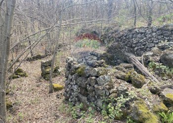Giardino - Terreno agricolo strada mareneve, Linguaglossa - foto 6