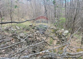 Giardino - Terreno agricolo strada mareneve, Linguaglossa - foto 8