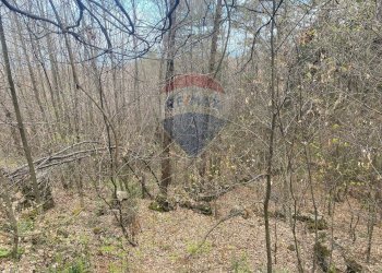 Non correlato - Terreno agricolo strada mareneve, Linguaglossa - foto 9