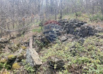 Non correlato - Terreno agricolo strada mareneve, Linguaglossa - foto 11