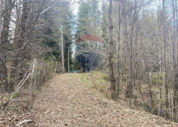 Giardino - Terreno agricolo strada mareneve, Linguaglossa - foto 16