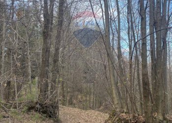 Vista delle montagne - Terreno agricolo strada mareneve, Linguaglossa - foto 18
