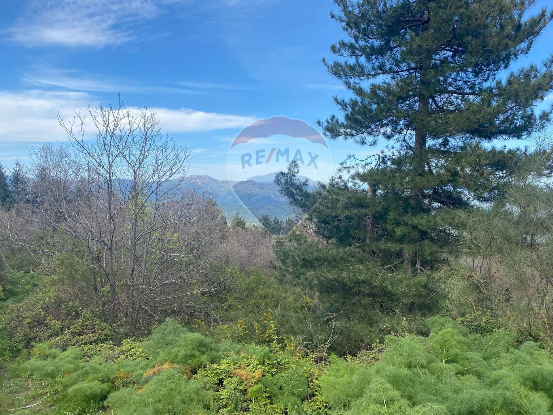 Vista delle montagne - Agricultural land strada mareneve, Linguaglossa - photo 1