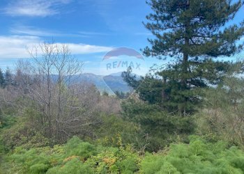 Vista delle montagne - Terreno agricolo strada mareneve, Linguaglossa - foto 3