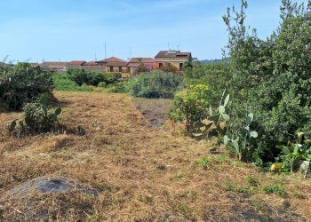 Giardino - Terreno edificabile Pietro Paolo
55, Acireale - foto 1