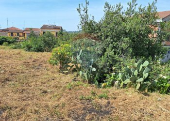 Giardino - Terreno edificabile Pietro Paolo
55, Acireale - foto 2