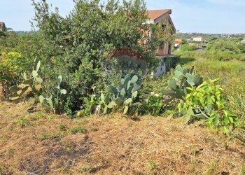 Giardino - Terreno edificabile Pietro Paolo
55, Acireale - foto 3