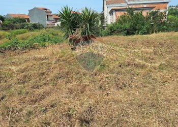 Giardino - Terreno edificabile Pietro Paolo
55, Acireale - foto 15