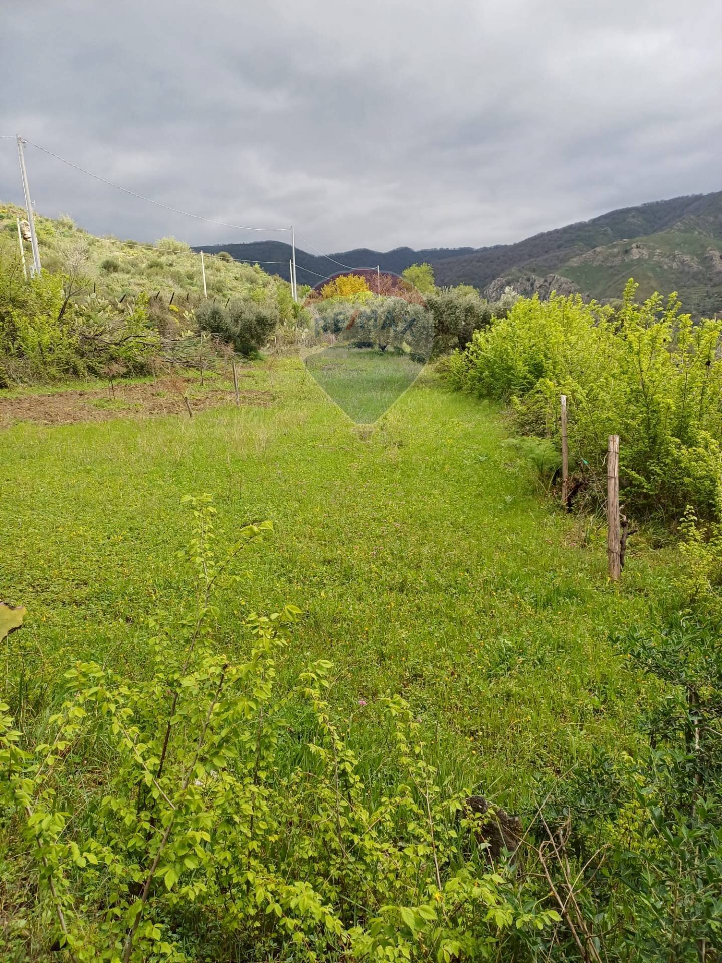 Vista delle montagne - Terreno agricolo contrada san giovanni, Roccella Valdemone - foto 2