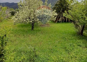 Giardino - Terreno agricolo contrada san giovanni, Roccella Valdemone - foto 3