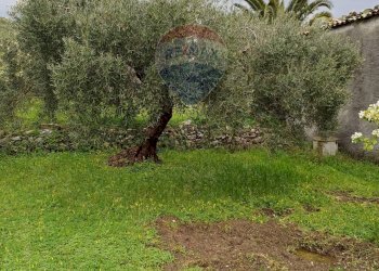 Giardino - Terreno agricolo contrada san giovanni, Roccella Valdemone - foto 7