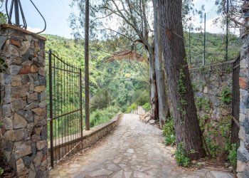 Giardino - Villa provinciale 25 Km 9, Mandanici - foto 3