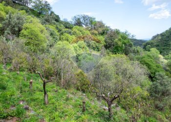 Vista delle montagne - Villa provinciale 25 Km 9, Mandanici - foto 13