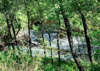 Giardino - Villa provinciale 25 Km 9, Mandanici - foto 19