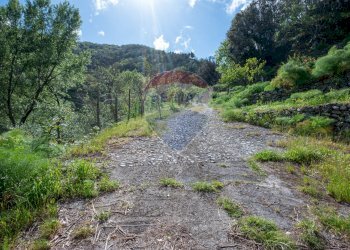 Vista delle montagne - Villa provinciale 25 Km 9, Mandanici - foto 22