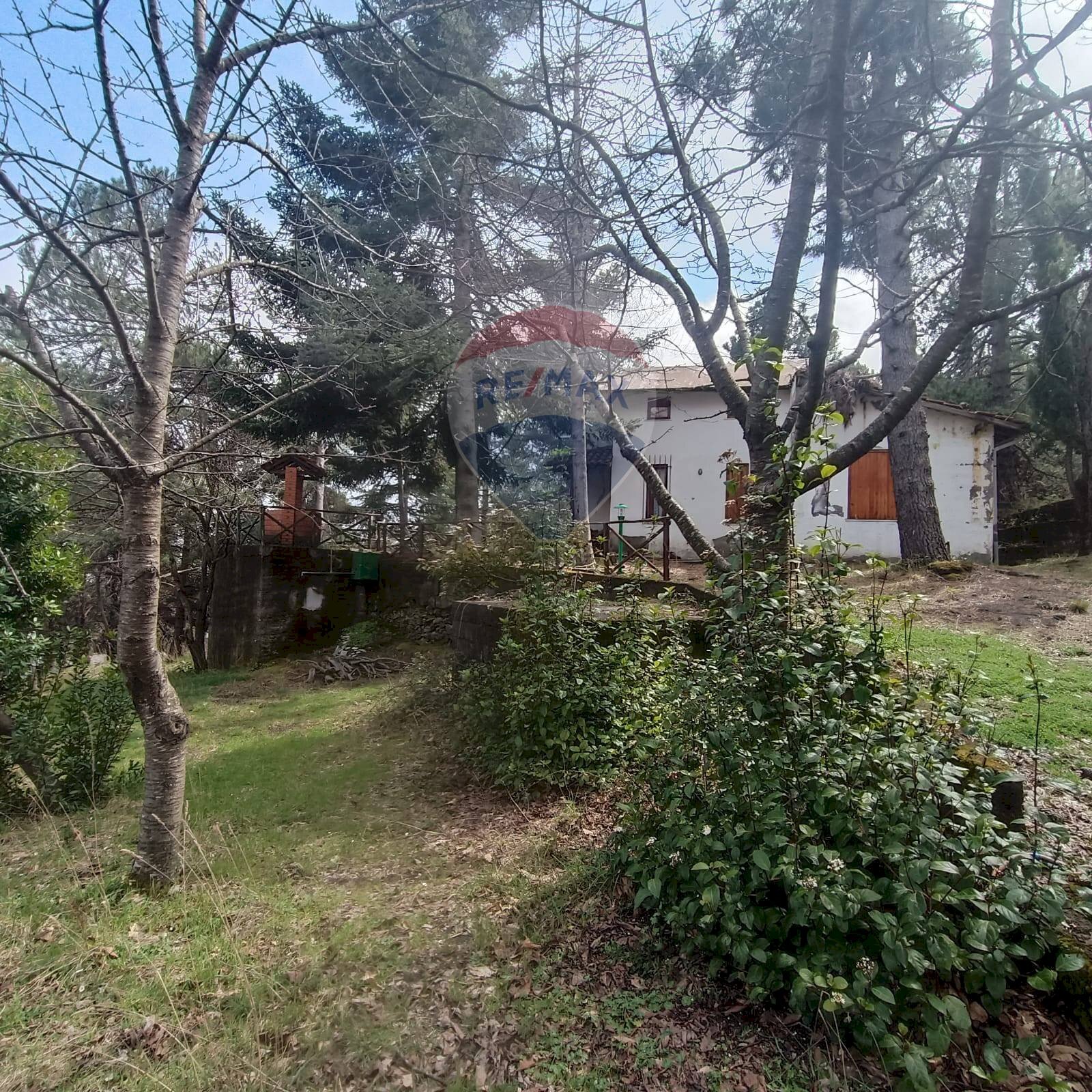 Giardino - Casa indipendente Contrada Petto Petraro
SNC, Linguaglossa - foto 2