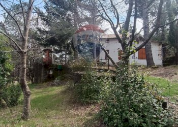 Giardino - Casa indipendente Contrada Petto Petraro
 
SNC, Linguaglossa - foto 2