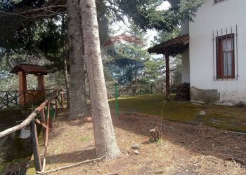 Giardino - Casa indipendente Contrada Petto Petraro
 
SNC, Linguaglossa - foto 5