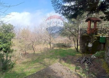 Giardino - Casa indipendente Contrada Petto Petraro
 
SNC, Linguaglossa - foto 6