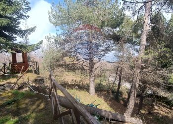 Giardino - Casa indipendente Contrada Petto Petraro
 
SNC, Linguaglossa - foto 37