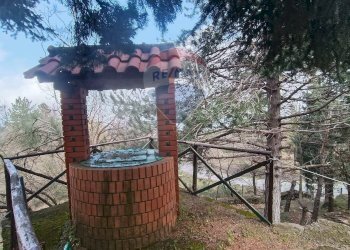 Giardino - Casa indipendente Contrada Petto Petraro
 
SNC, Linguaglossa - foto 42