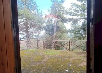 Giardino - Casa indipendente Contrada Petto Petraro
 
SNC, Linguaglossa - foto 43