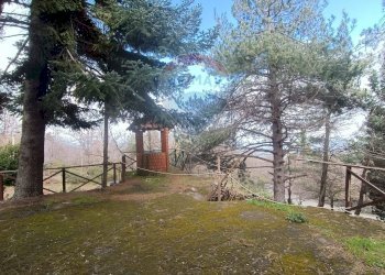 Giardino - Casa indipendente Contrada Petto Petraro
 
SNC, Linguaglossa - foto 44