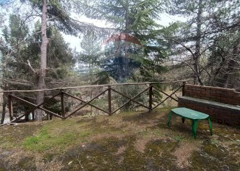 Giardino - Casa indipendente Contrada Petto Petraro
 
SNC, Linguaglossa - foto 45