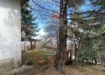 Giardino - Casa indipendente Contrada Petto Petraro
 
SNC, Linguaglossa - foto 48