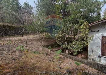 Giardino - Casa indipendente Contrada Petto Petraro
 
SNC, Linguaglossa - foto 51