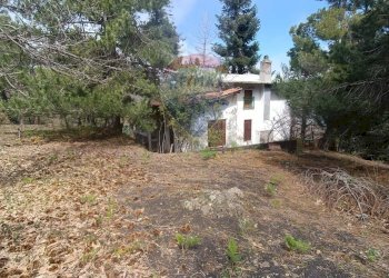 Casa all\'aperto - Casa indipendente Contrada Petto Petraro
 
SNC, Linguaglossa - foto 52