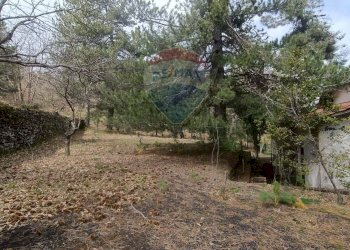 Giardino - Casa indipendente Contrada Petto Petraro
 
SNC, Linguaglossa - foto 53