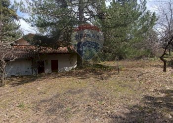 Giardino - Casa indipendente Contrada Petto Petraro
 
SNC, Linguaglossa - foto 57