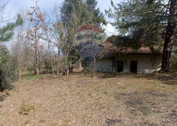 Giardino - Casa indipendente Contrada Petto Petraro
 
SNC, Linguaglossa - foto 58